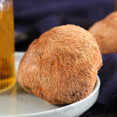 Maag thee voor maagzwerenherstel en bescherming van maag-darmmucoos bij volwassenen